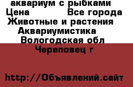 аквариум с рыбками › Цена ­ 1 000 - Все города Животные и растения » Аквариумистика   . Вологодская обл.,Череповец г.